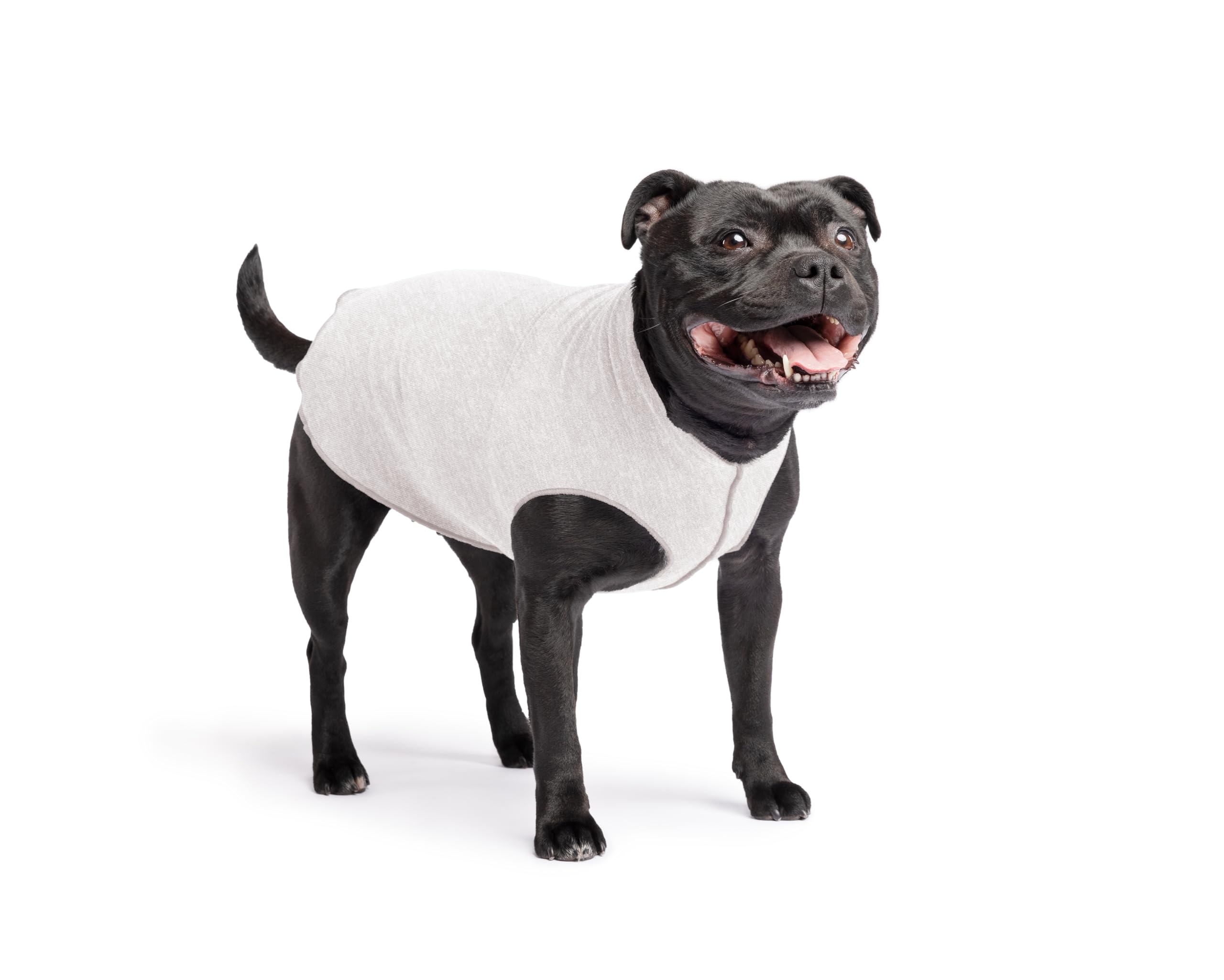 Lightweight UV Protection Dog Sun Shirt
