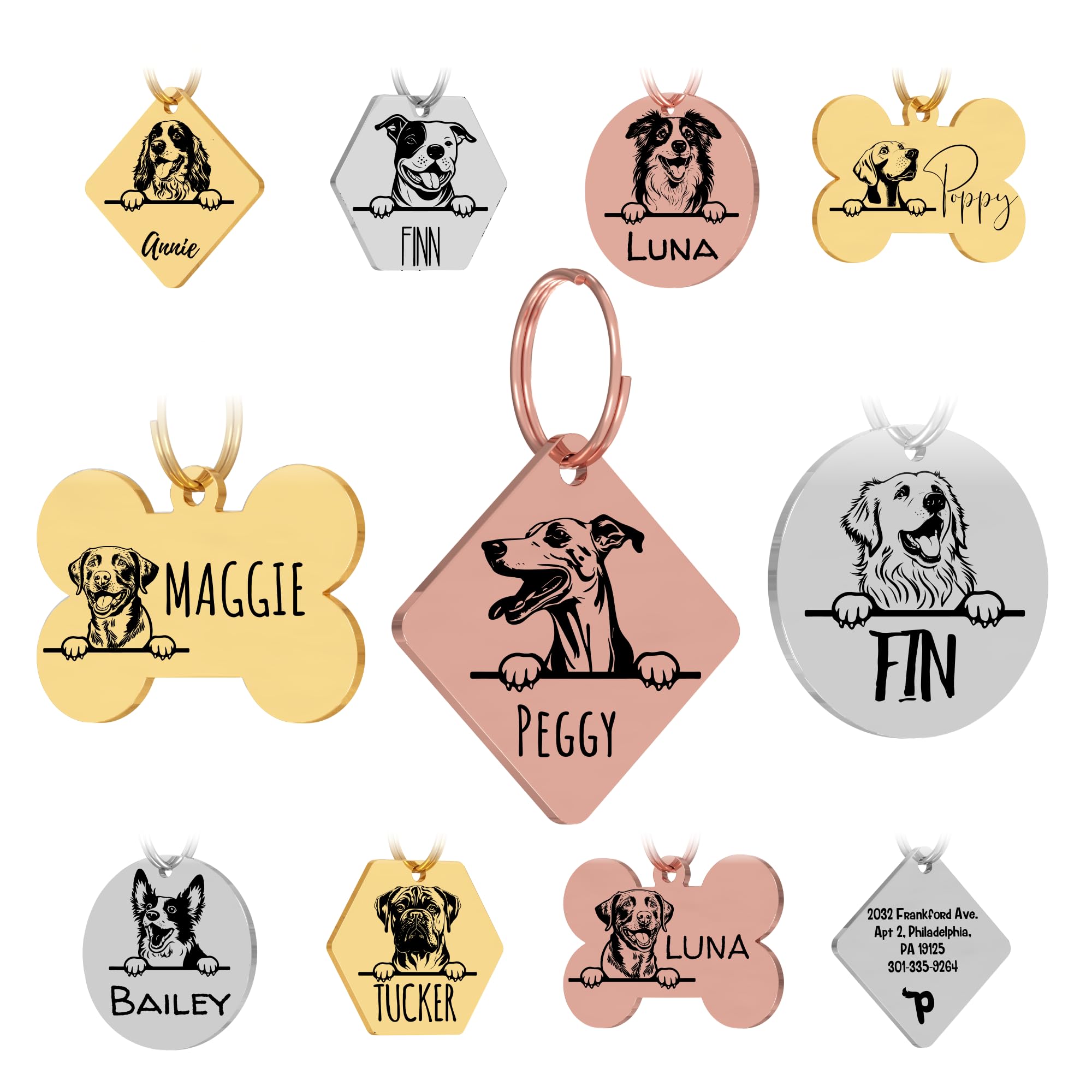 Personalized Stainless Steel Dog ID Tag