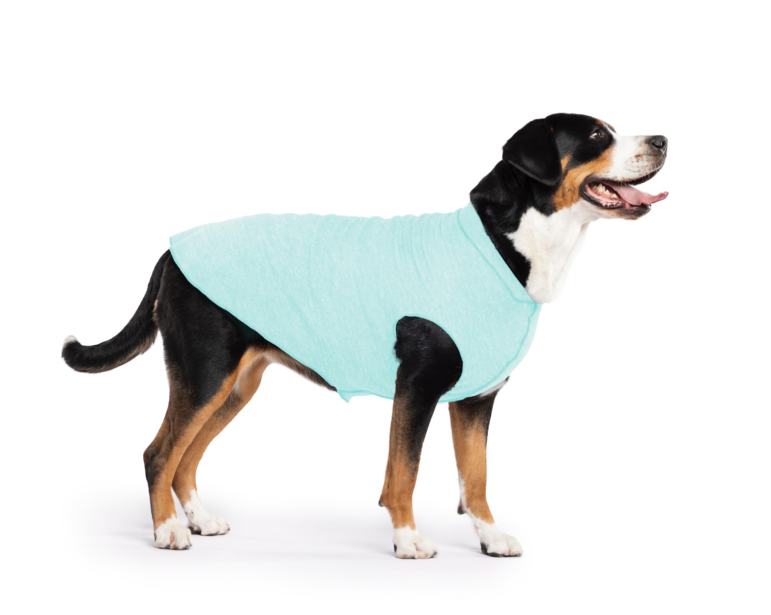 Lightweight UV Protection Dog Sun Shirt