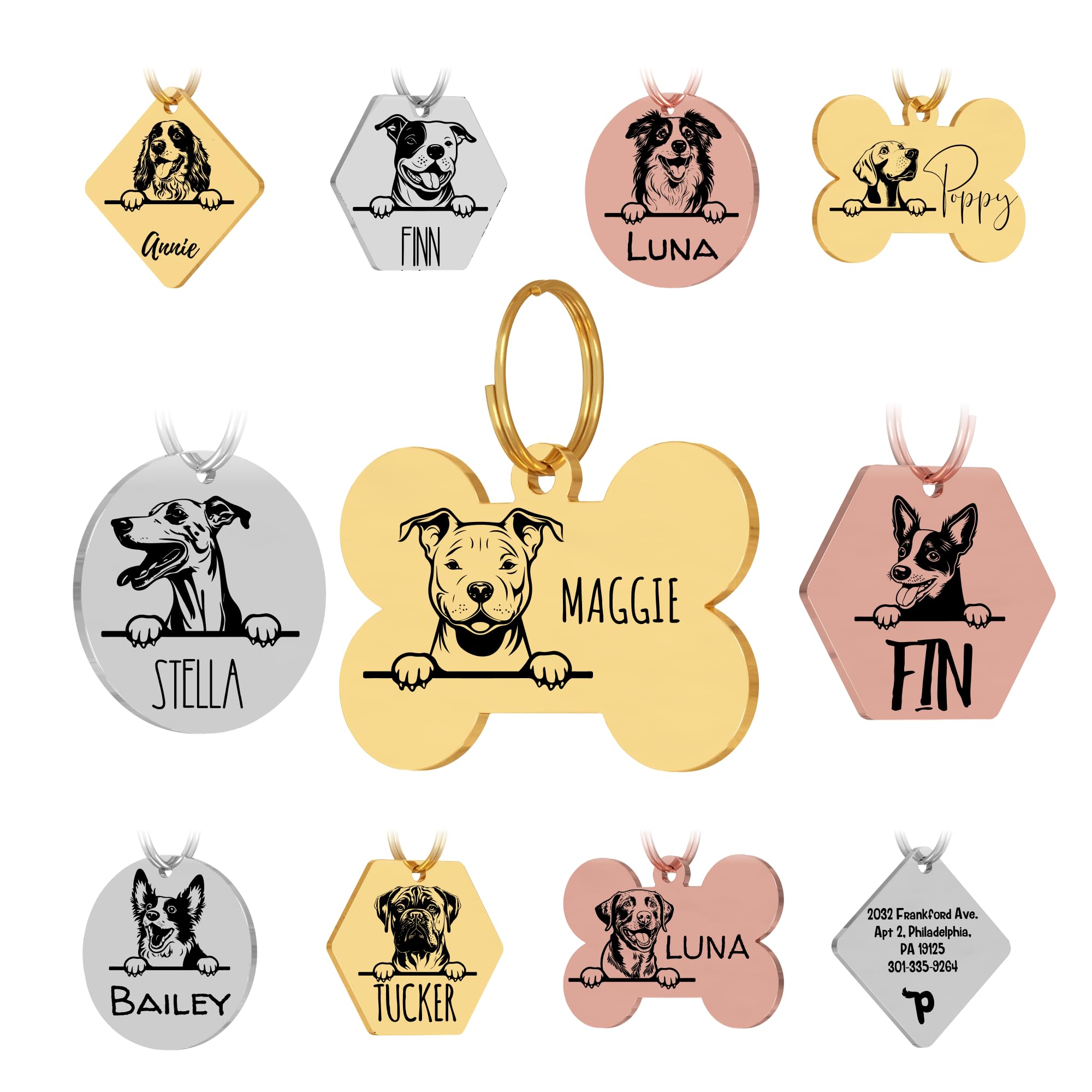 Personalized Stainless Steel Dog ID Tag