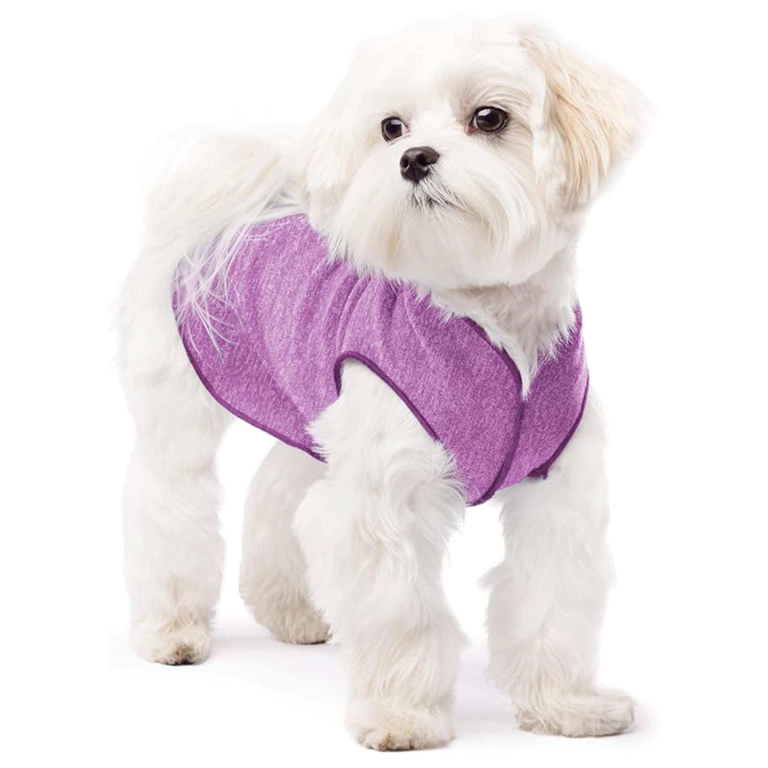 Lightweight UV Protection Dog Sun Shirt