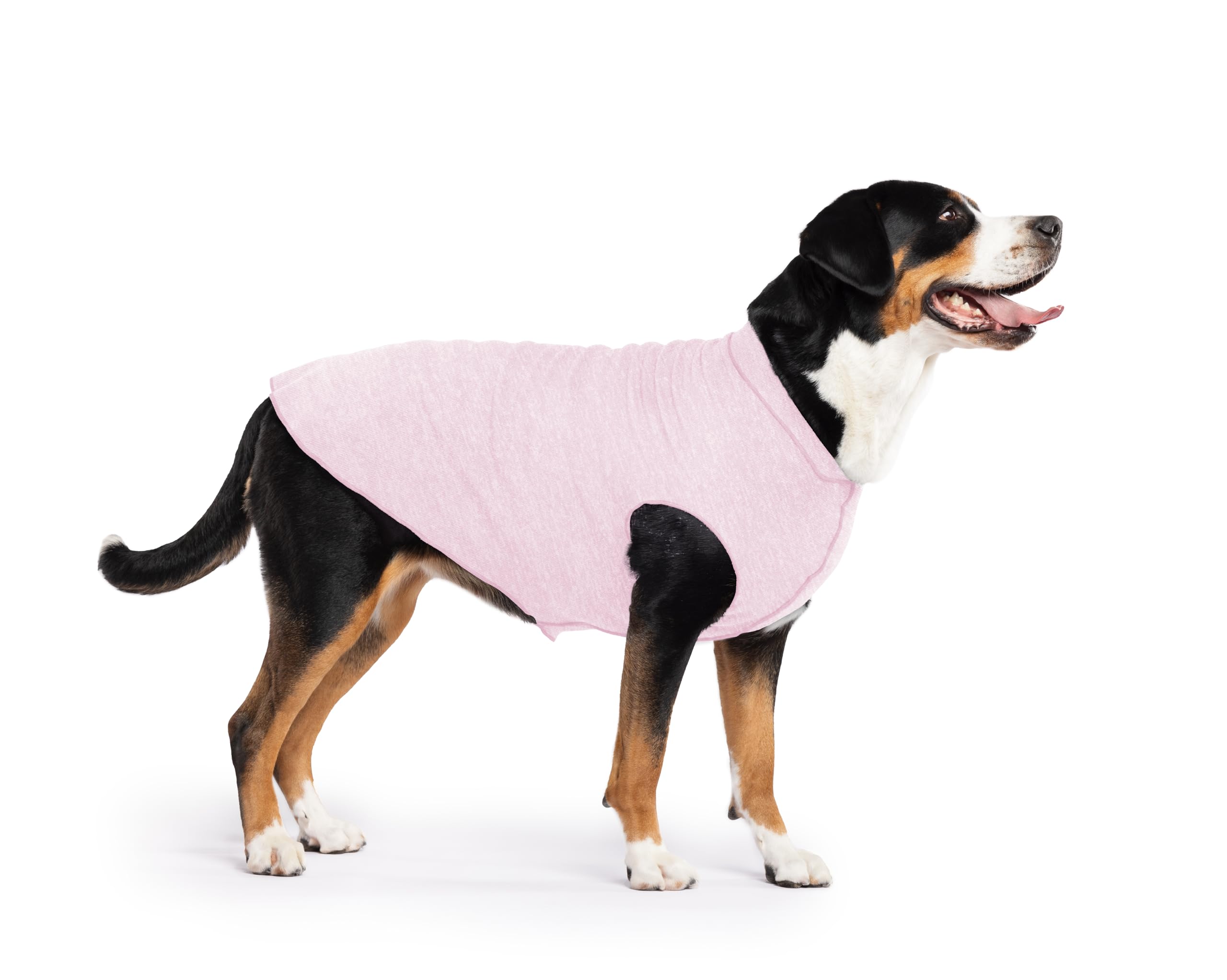 Lightweight UV Protection Dog Sun Shirt