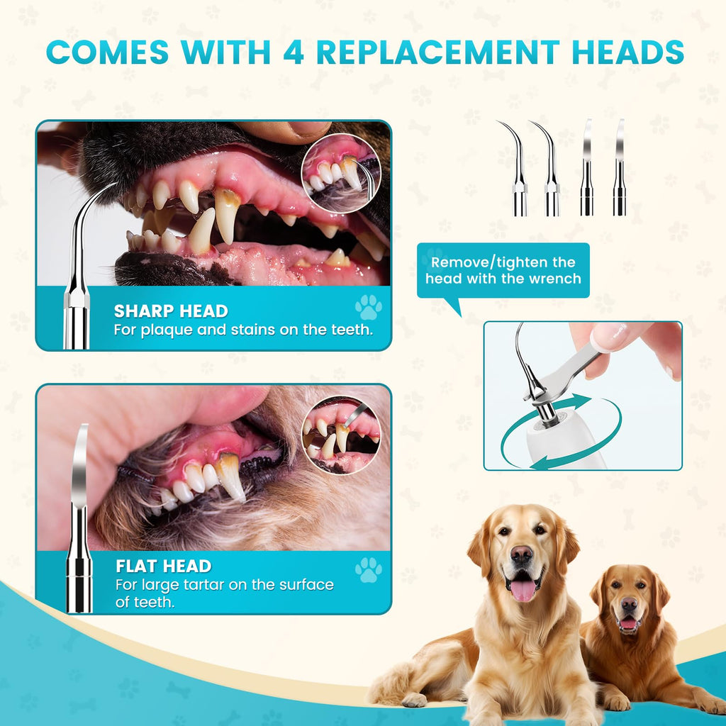 Ultrasonic Pet Plaque Remover