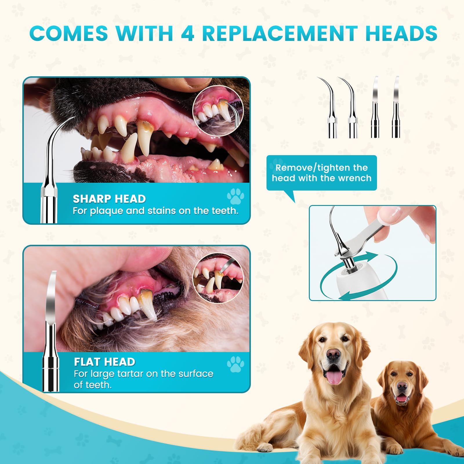 Ultrasonic Pet Plaque Remover