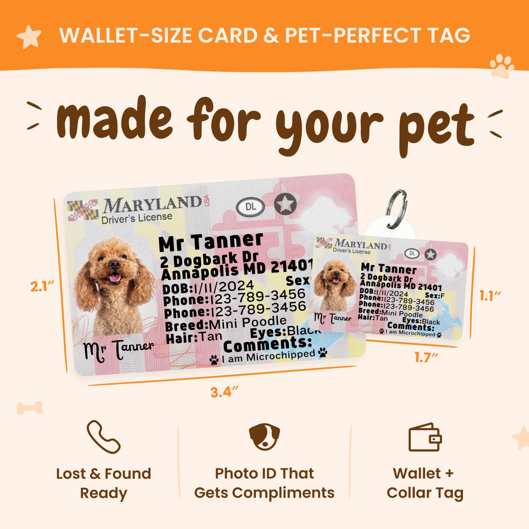 Personalized Pet ID Tag
