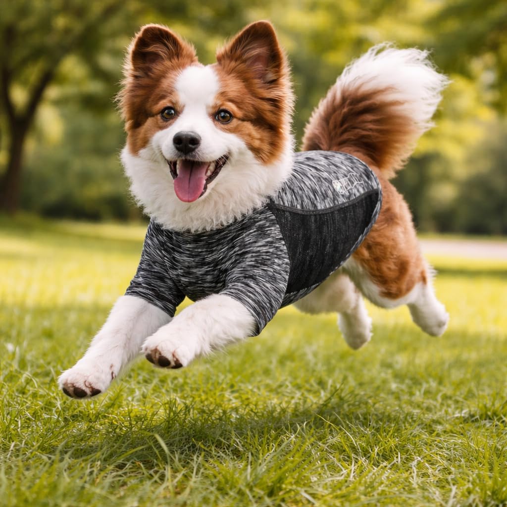 Quick-Dry Reflective Performance Dog T-Shirt