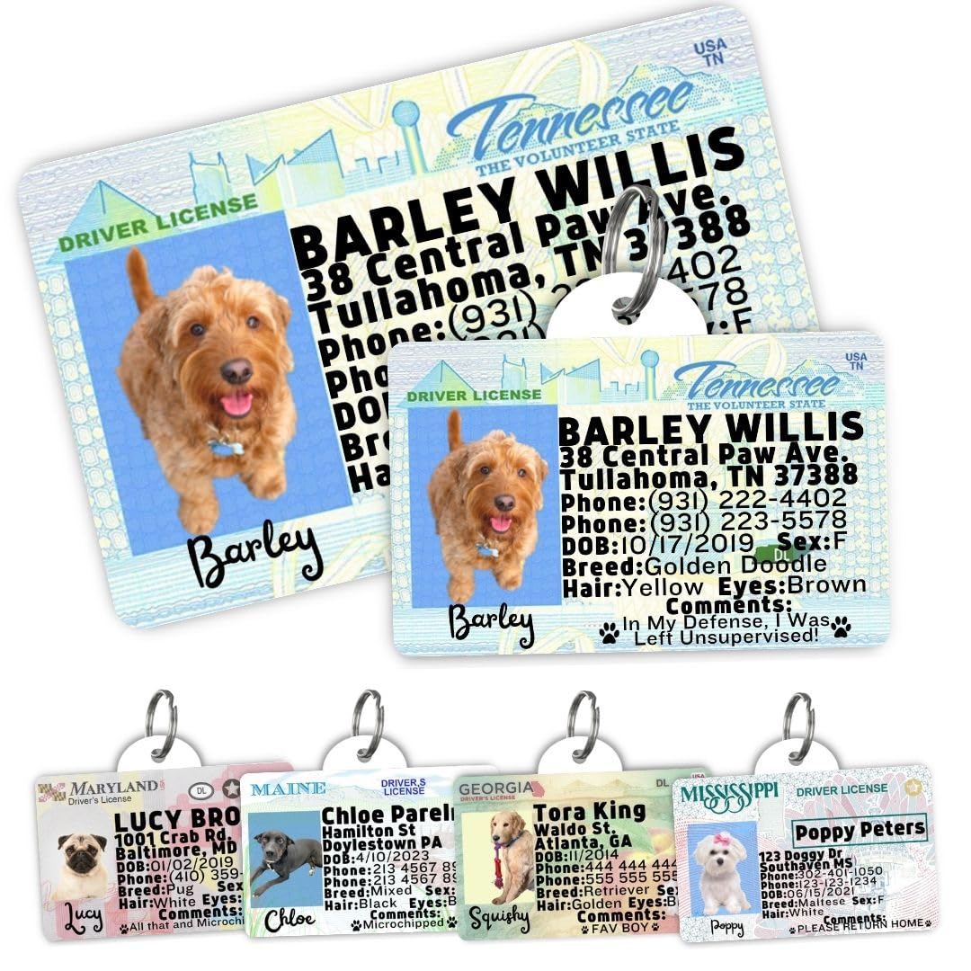 Personalized Pet ID Tag