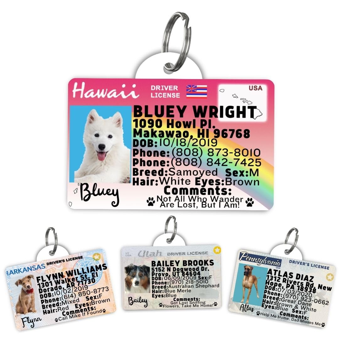 Personalized Pet ID Tag