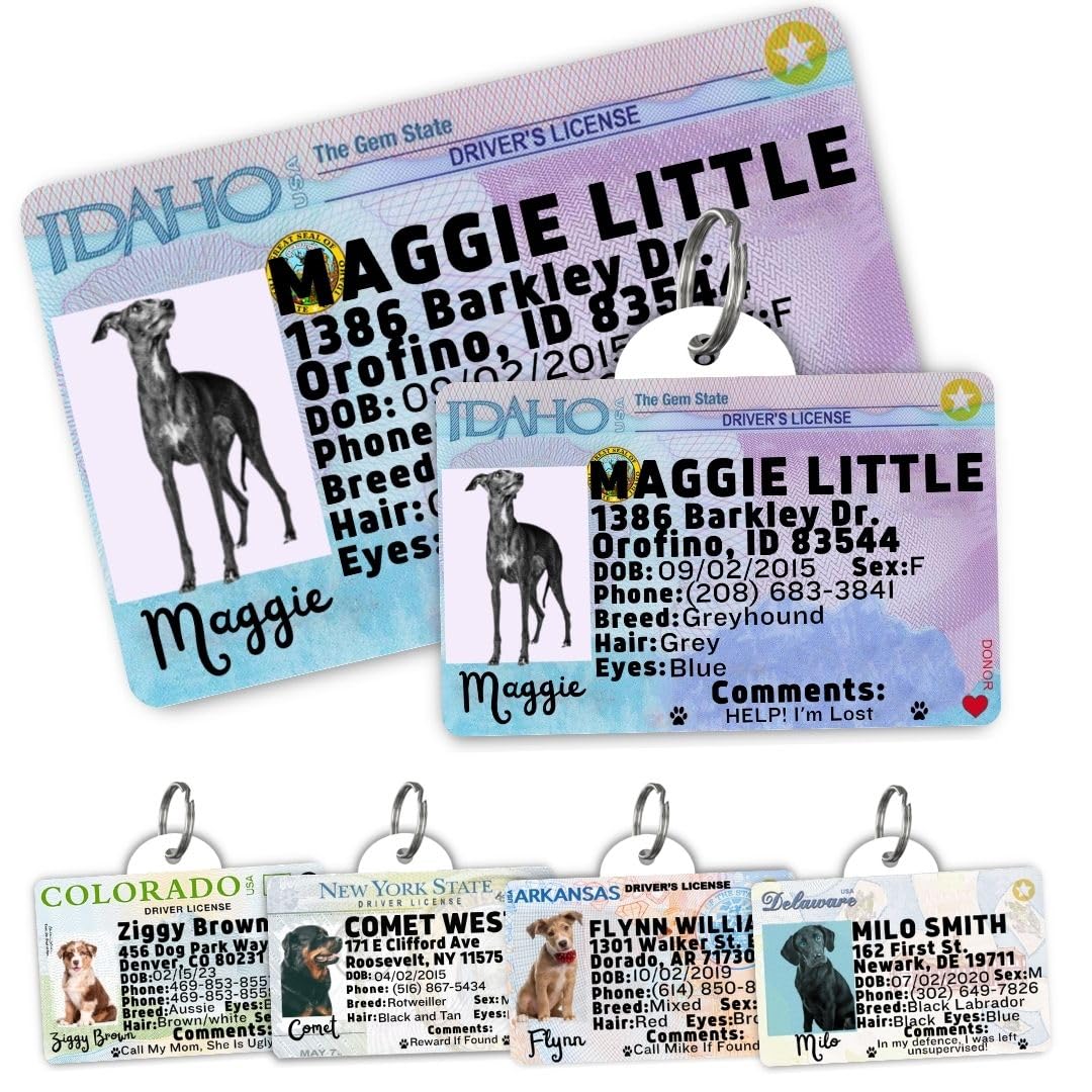 Personalized Pet ID Tag