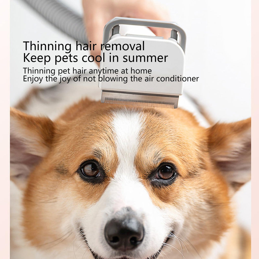 5-in-1 Pet Grooming Vacuum Kit