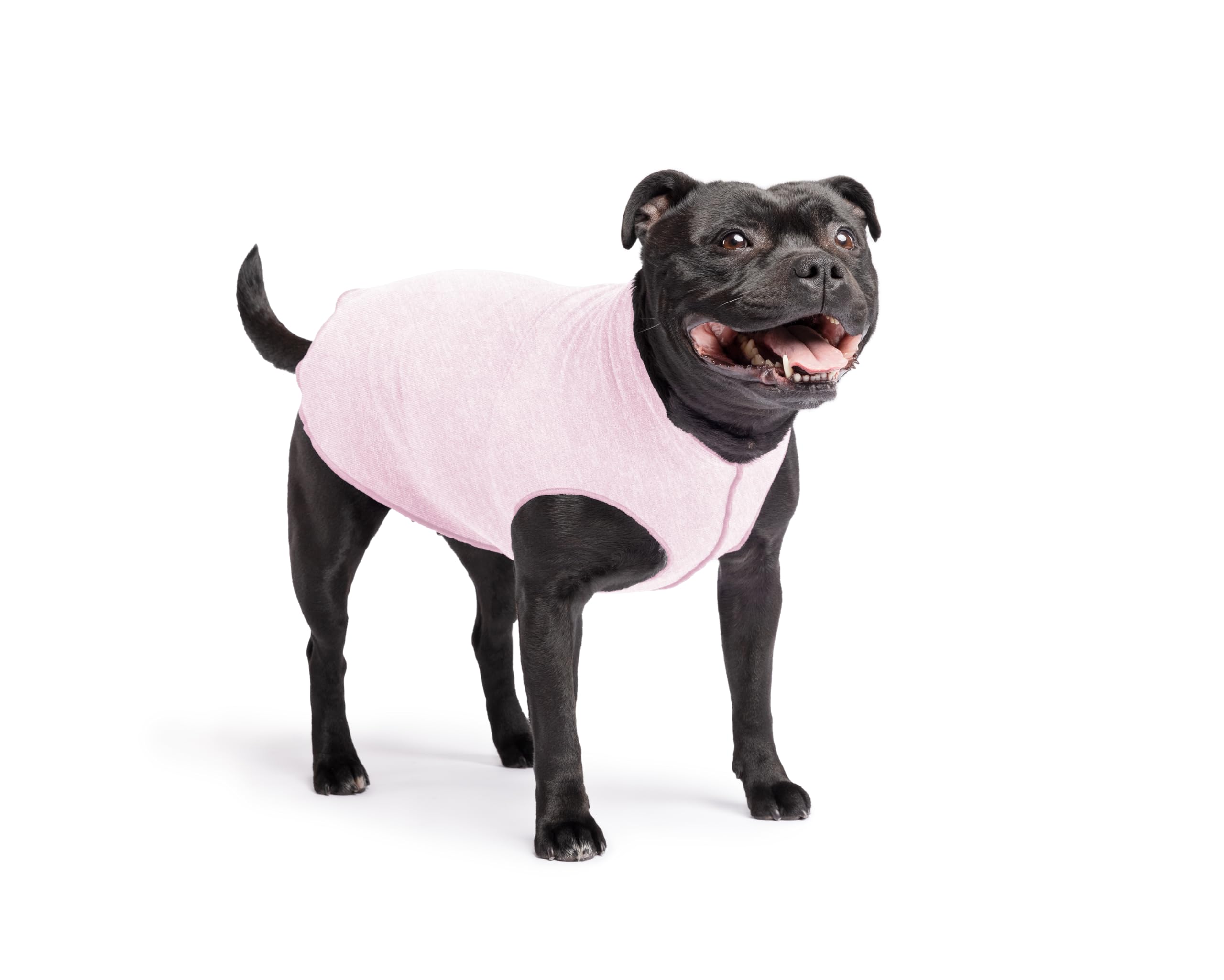 Lightweight UV Protection Dog Sun Shirt