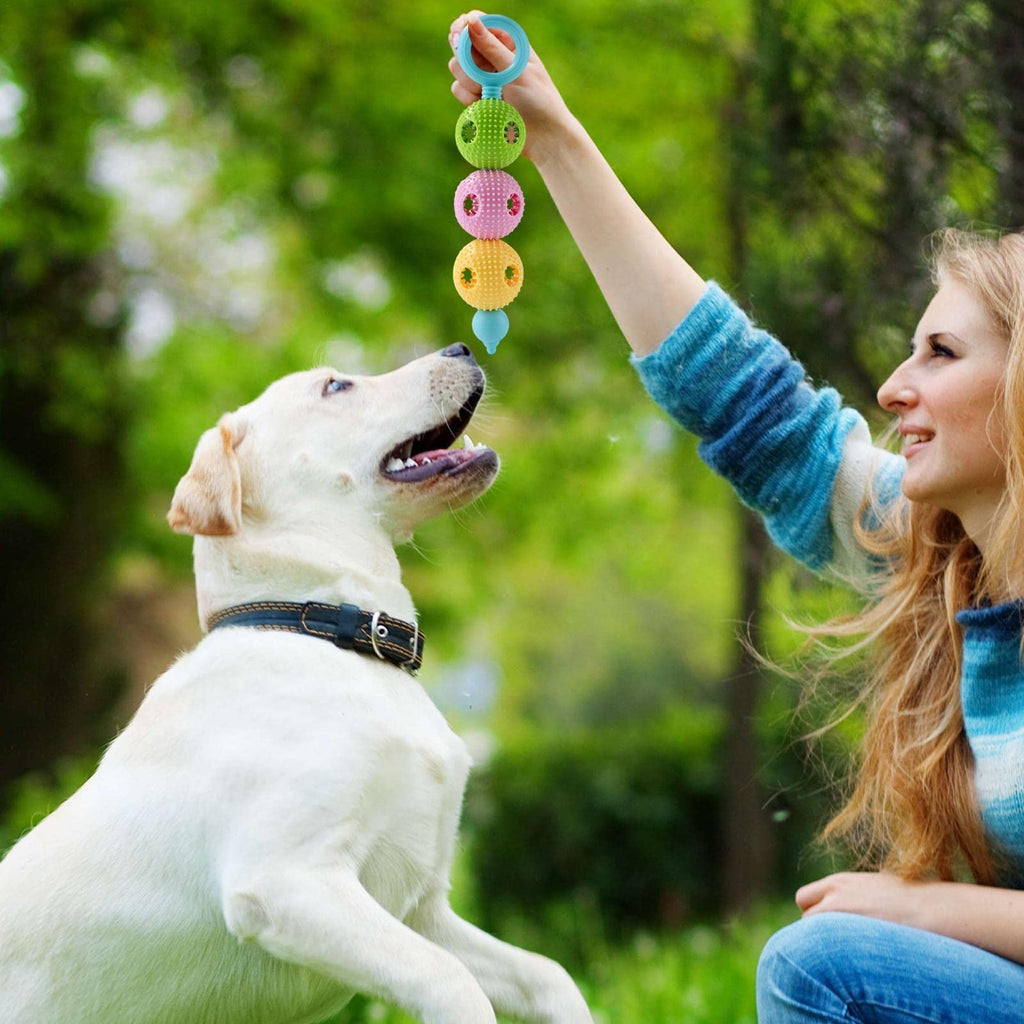 Durable Dog Chew Toy for Aggressive Chewers