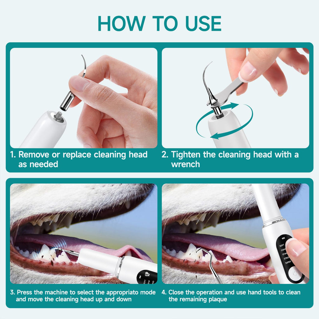 Electric Pet Plaque Remover