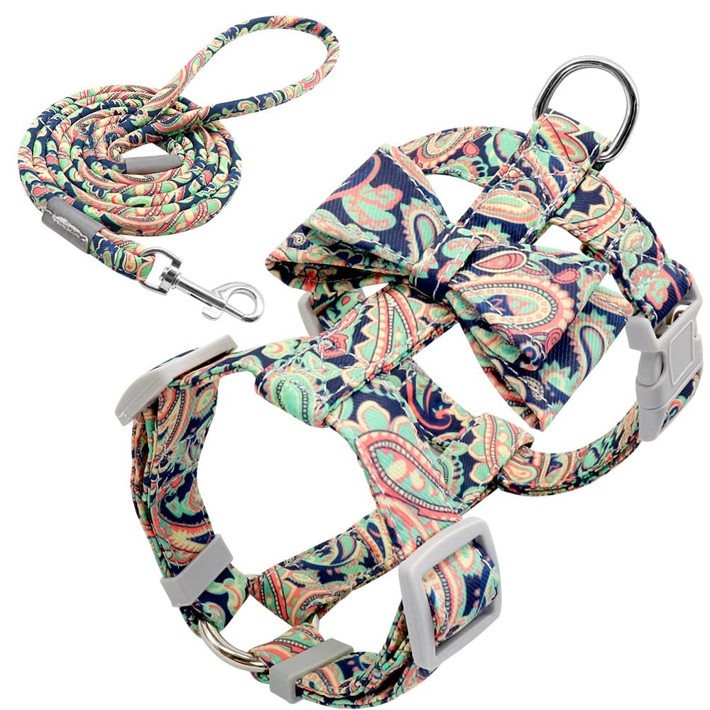 Adjustable Dog Harness and Leash Set