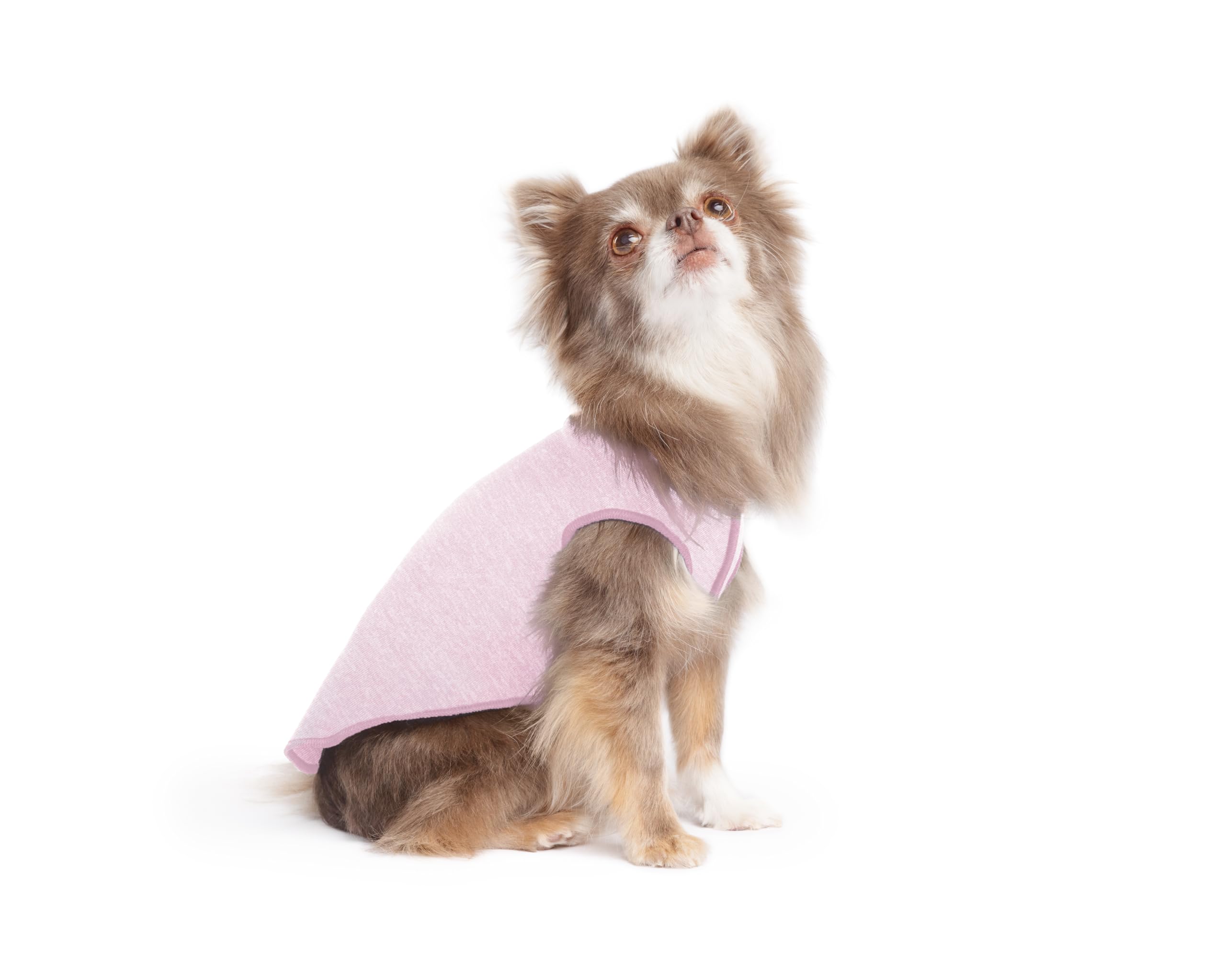Lightweight UV Protection Dog Sun Shirt