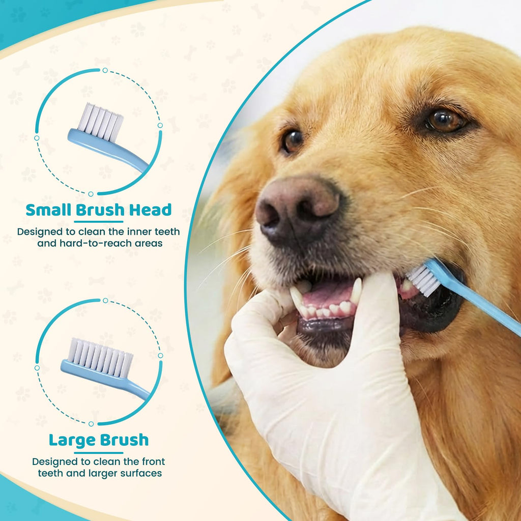 Ultrasonic Pet Plaque Remover