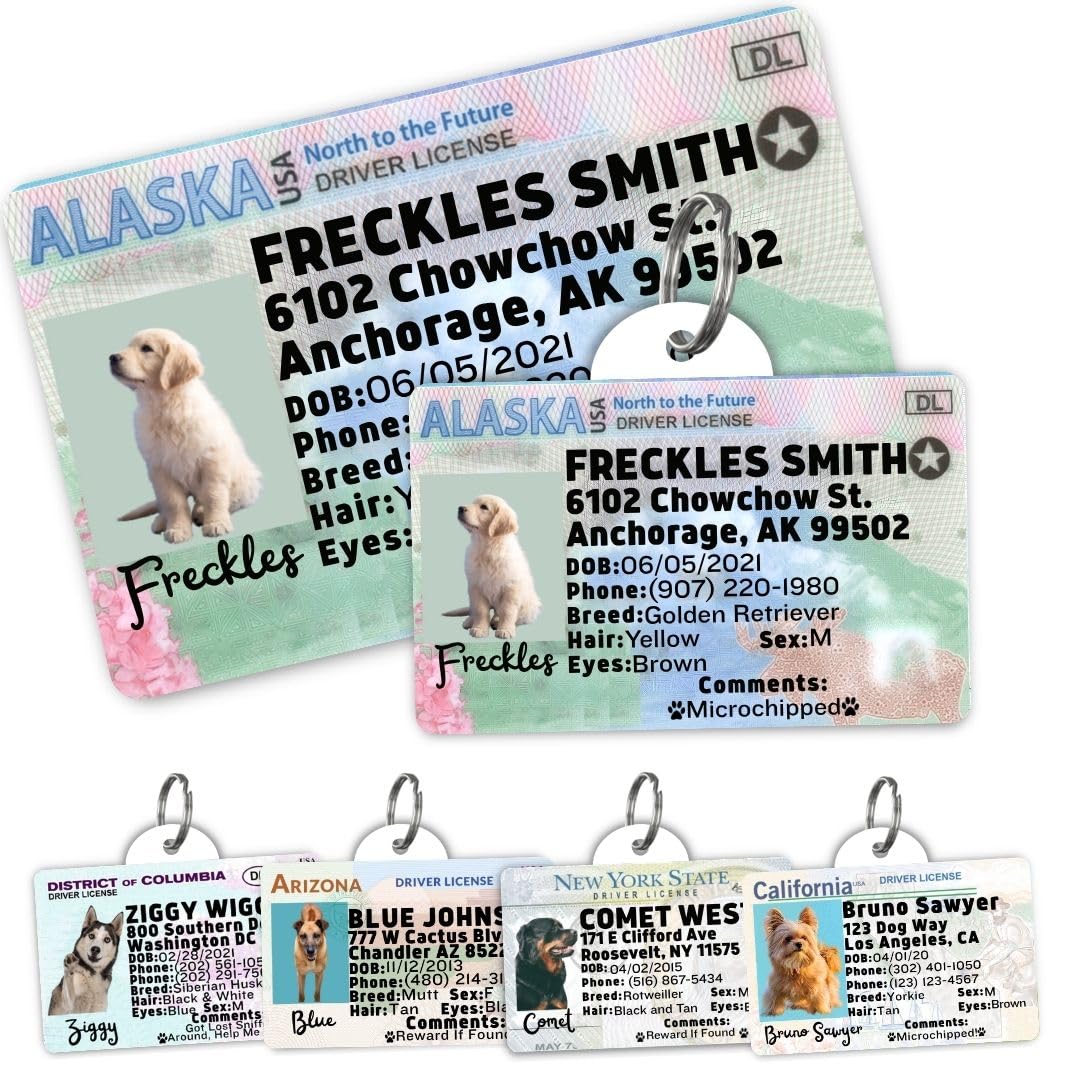 Personalized Pet ID Tag