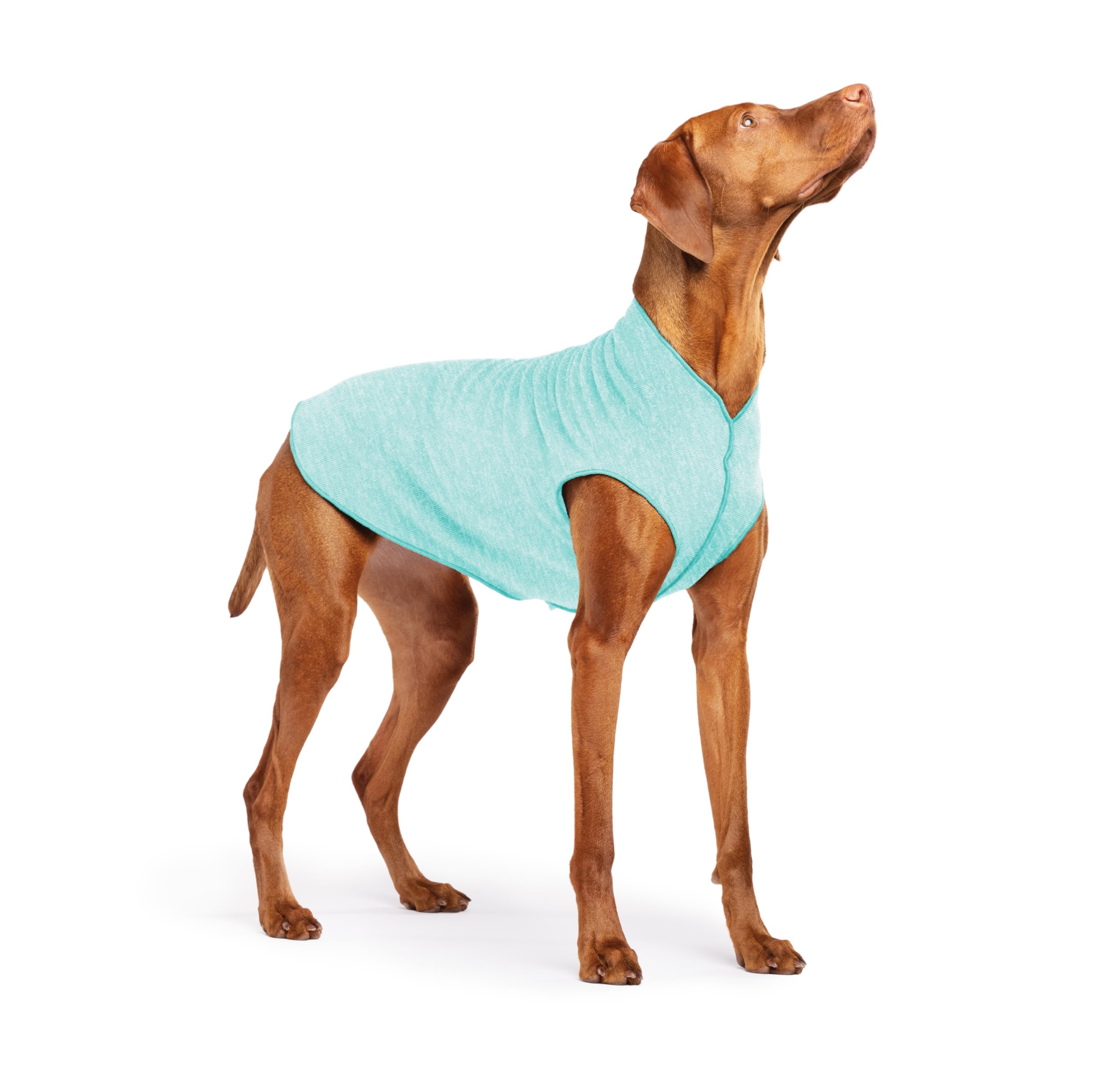 Lightweight UV Protection Dog Sun Shirt