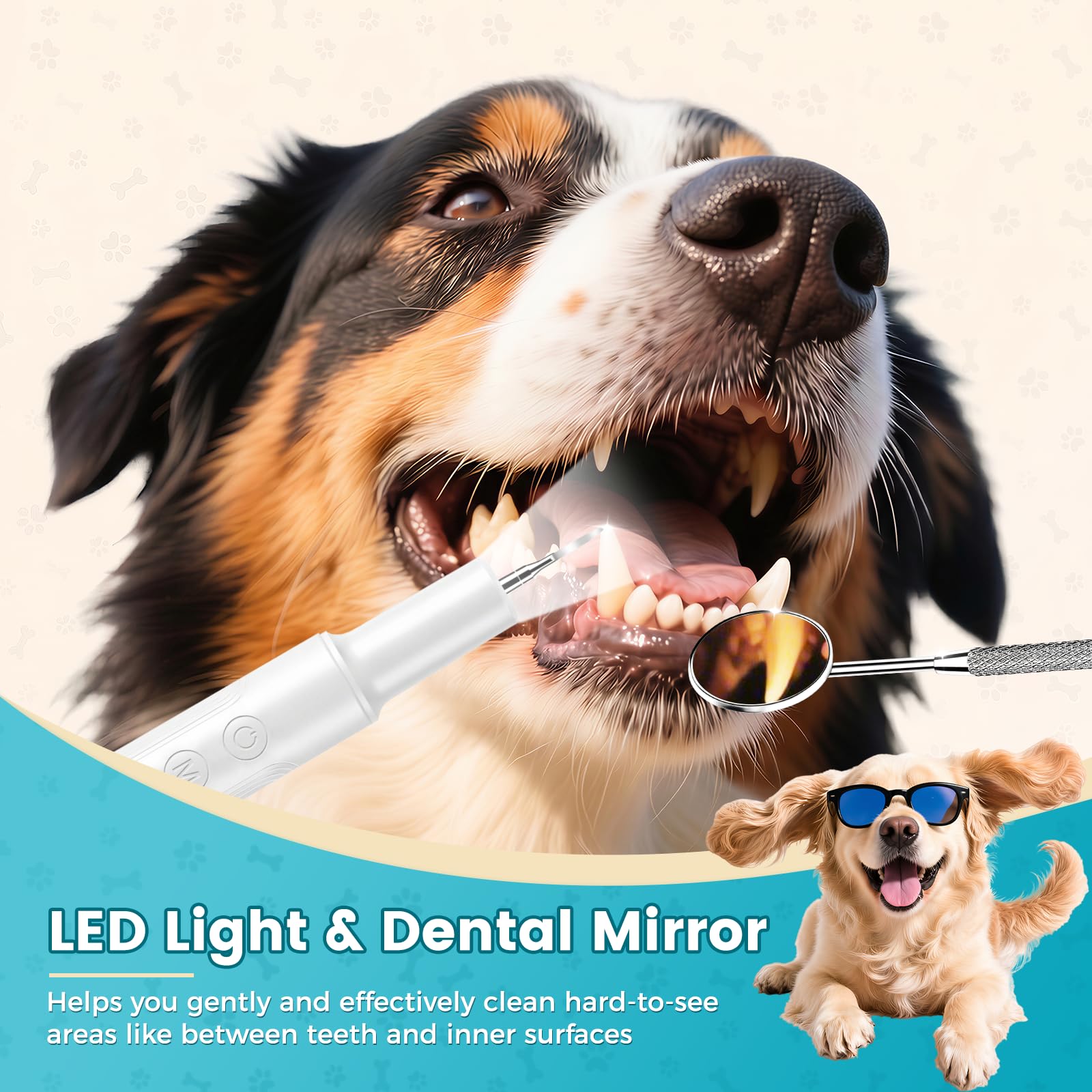 Ultrasonic Pet Plaque Remover