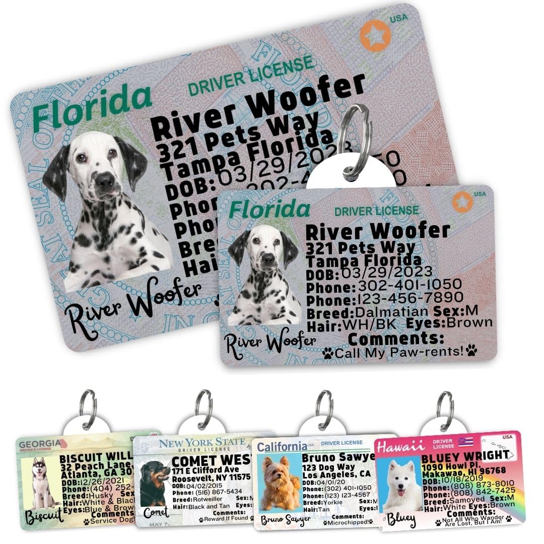 Personalized Pet ID Tag