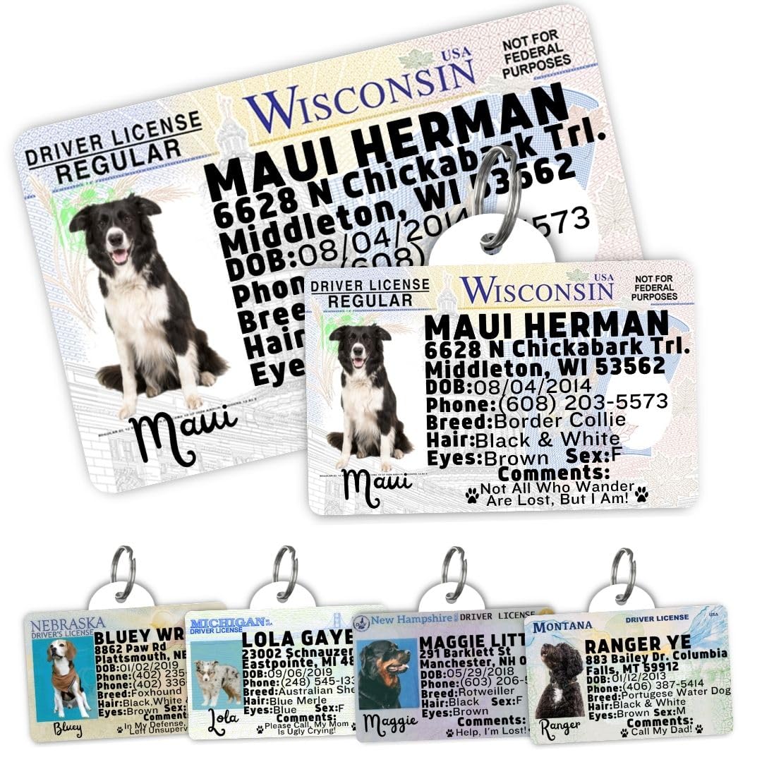Personalized Pet ID Tag