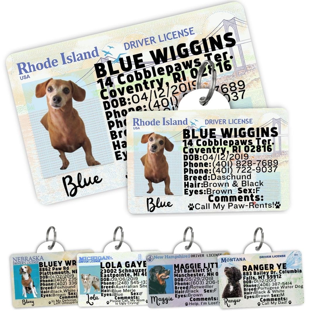 Personalized Pet ID Tag