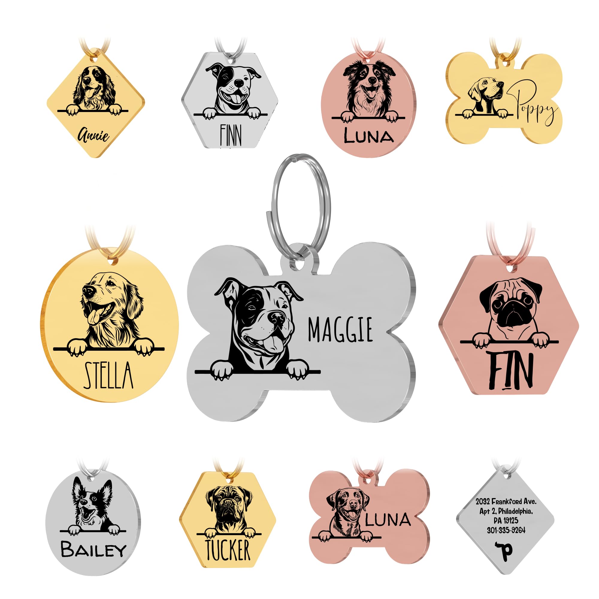 Personalized Stainless Steel Dog ID Tag