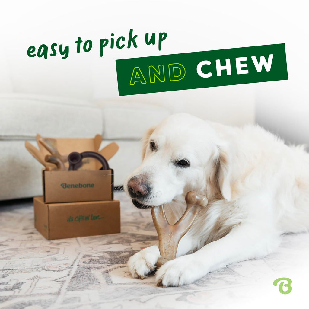 Durable Dog Chew Bones for Aggressive Chewers