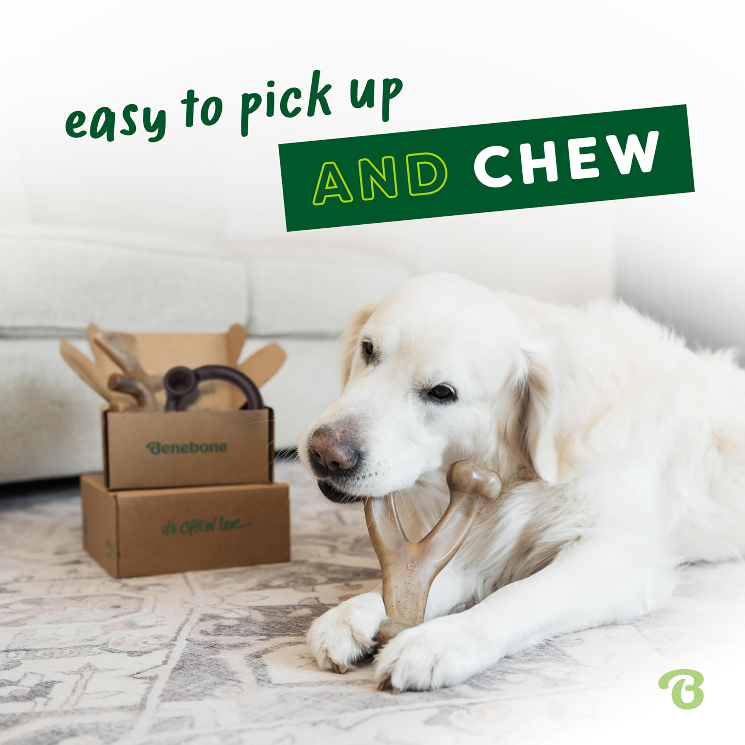 Durable Dog Chew Bones for Aggressive Chewers