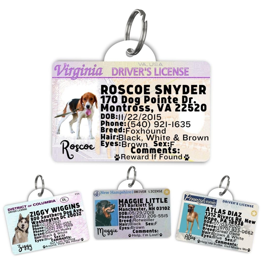 Personalized Pet ID Tag