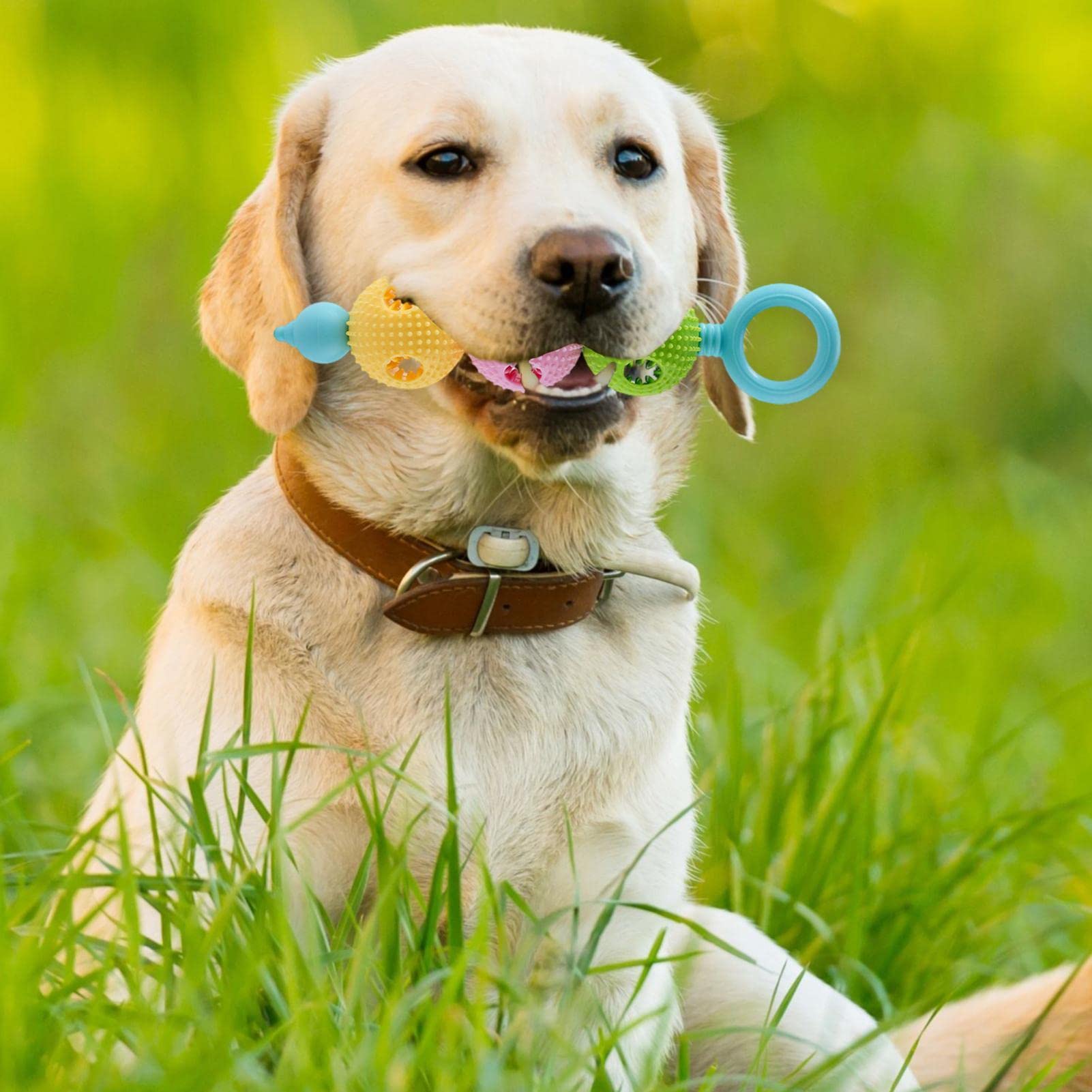 Durable Dog Chew Toy for Aggressive Chewers