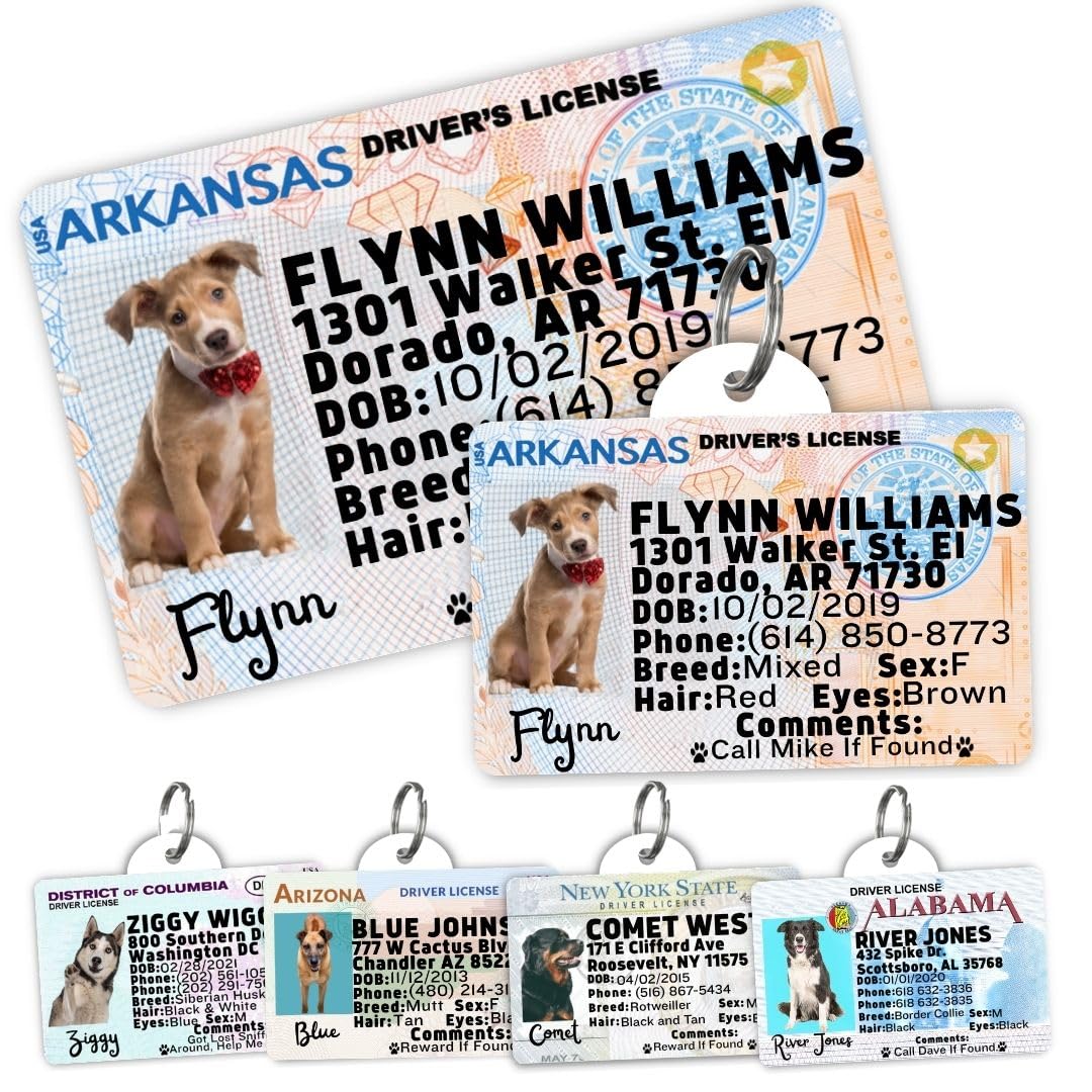 Personalized Pet ID Tag