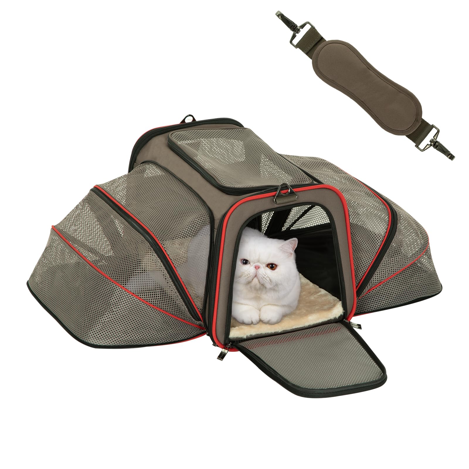 Expandable Airline-Approved Pet Carrier