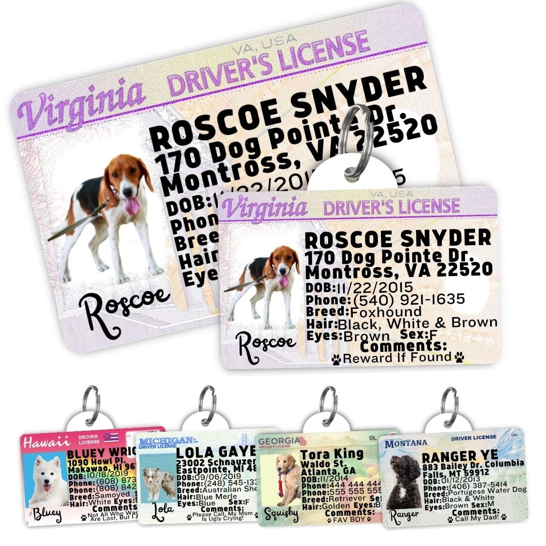 Personalized Pet ID Tag