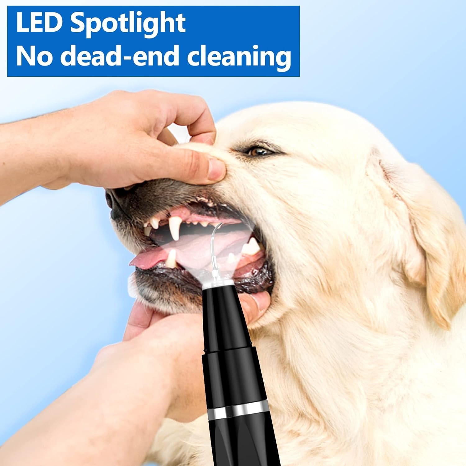 Ultrasonic Pet Plaque Remover