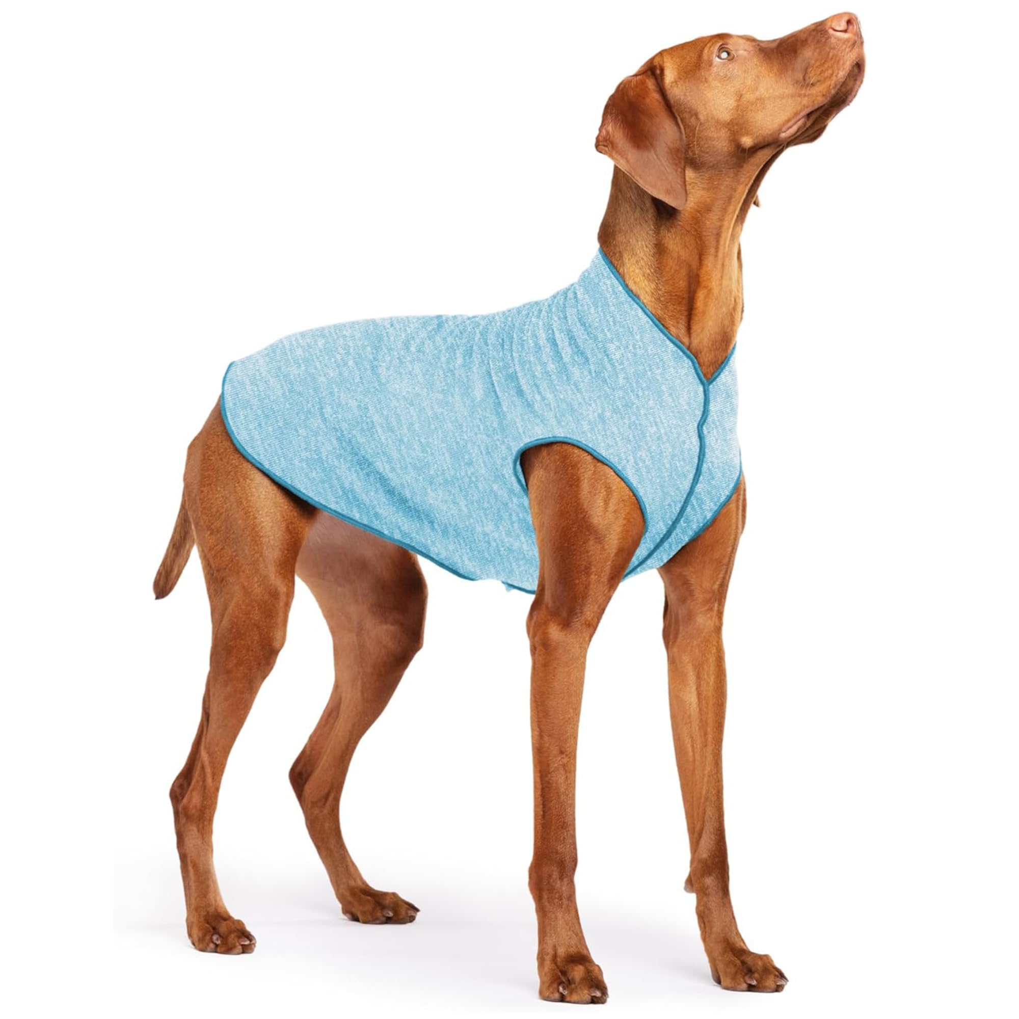 Lightweight UV Protection Dog Sun Shirt