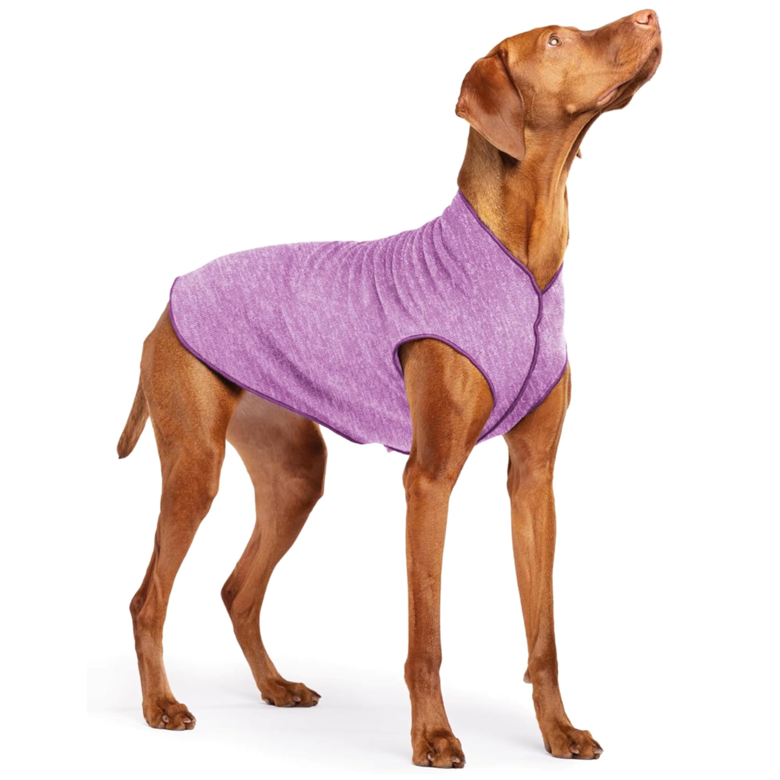 Lightweight UV Protection Dog Sun Shirt