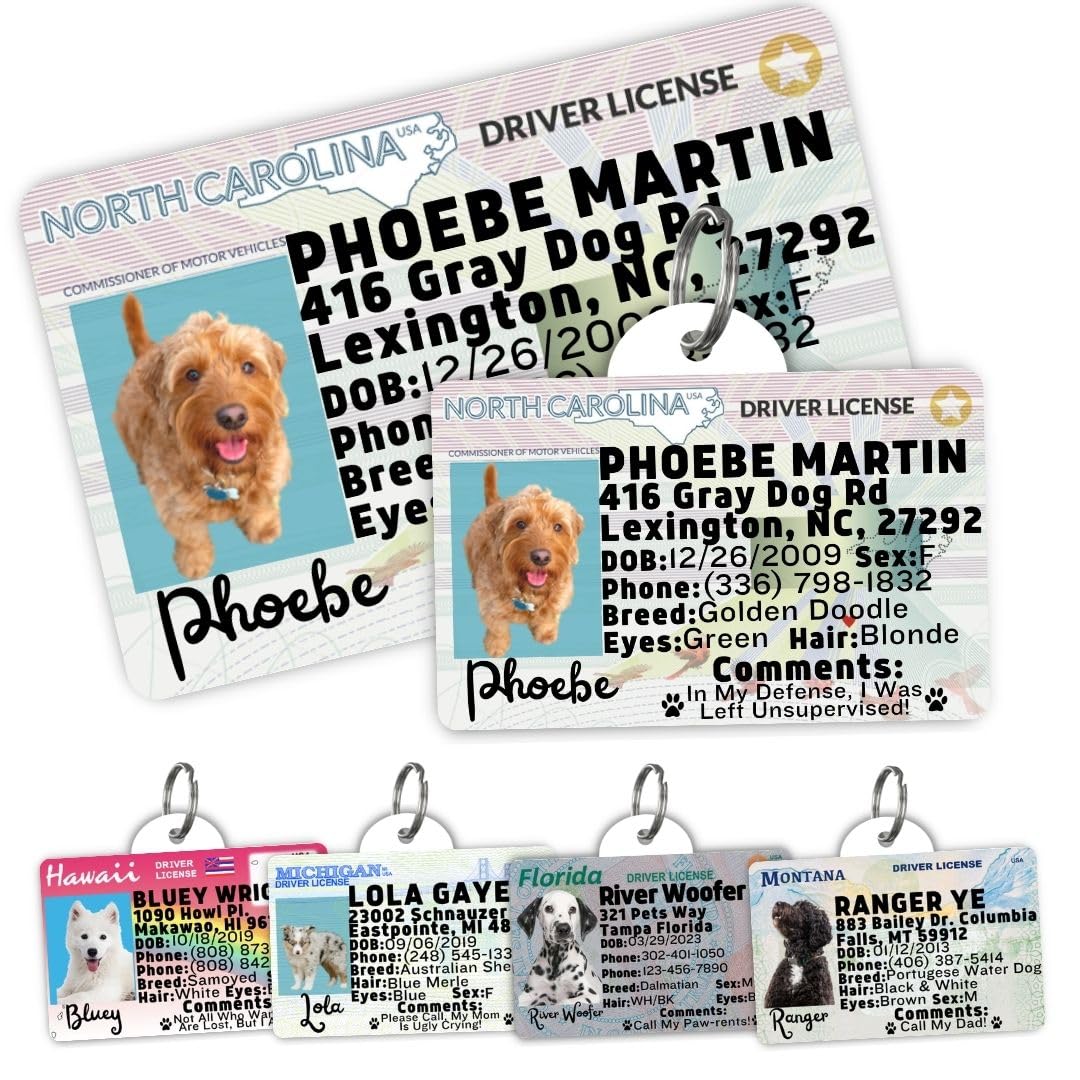 Personalized Pet ID Tag