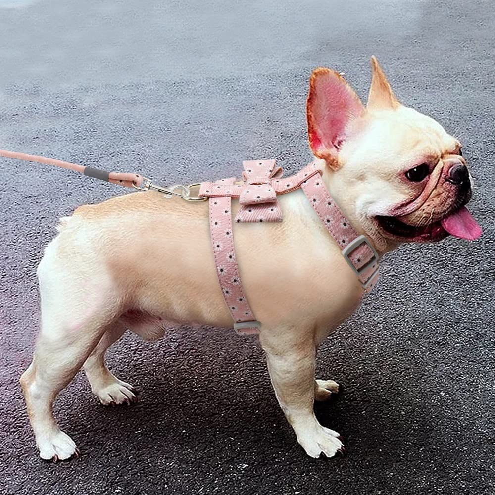 Adjustable Dog Harness and Leash Set