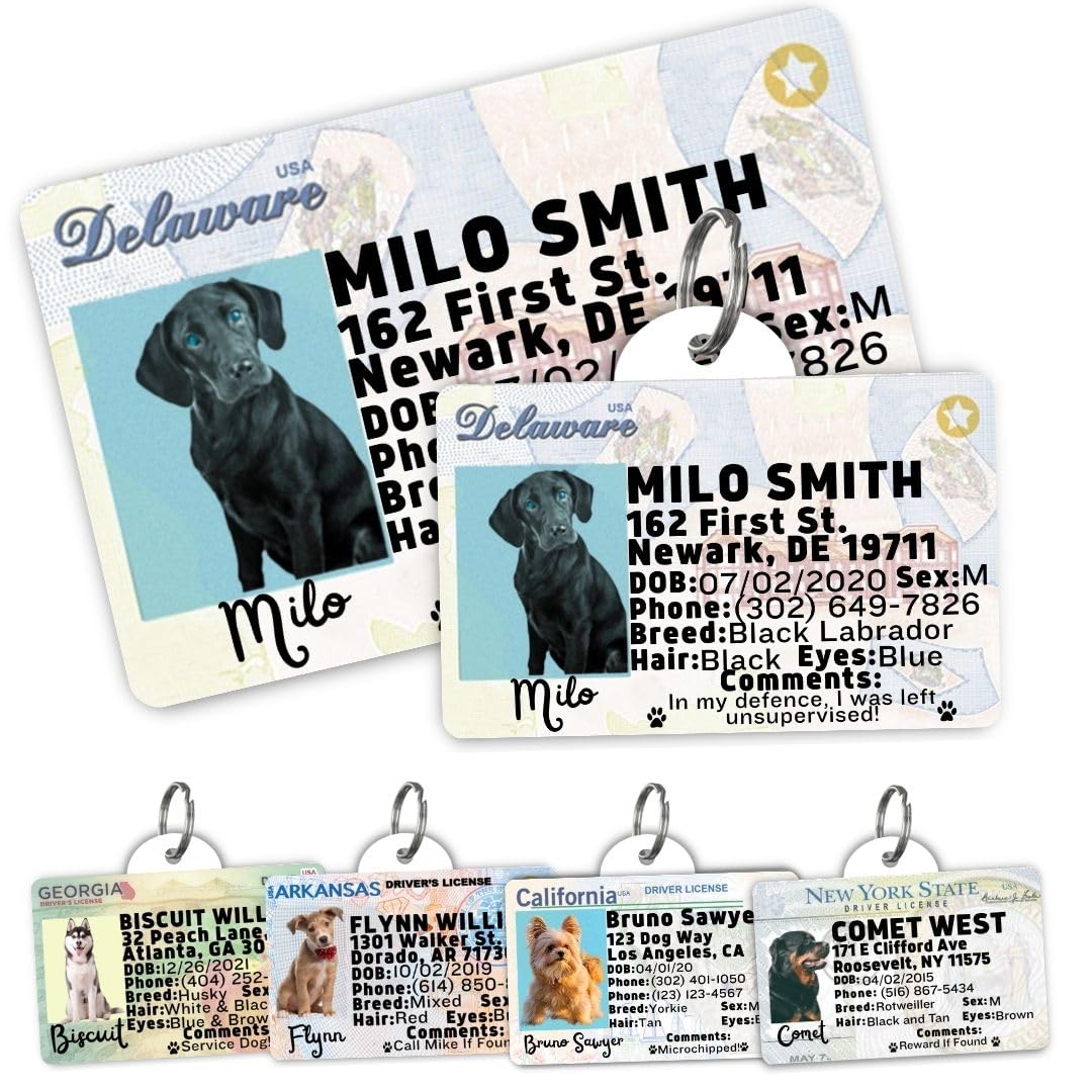 Personalized Pet ID Tag