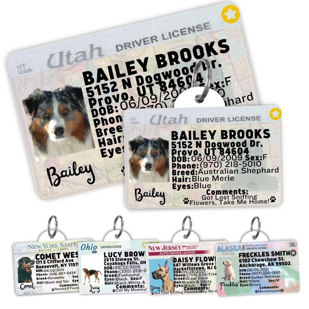 Personalized Pet ID Tag