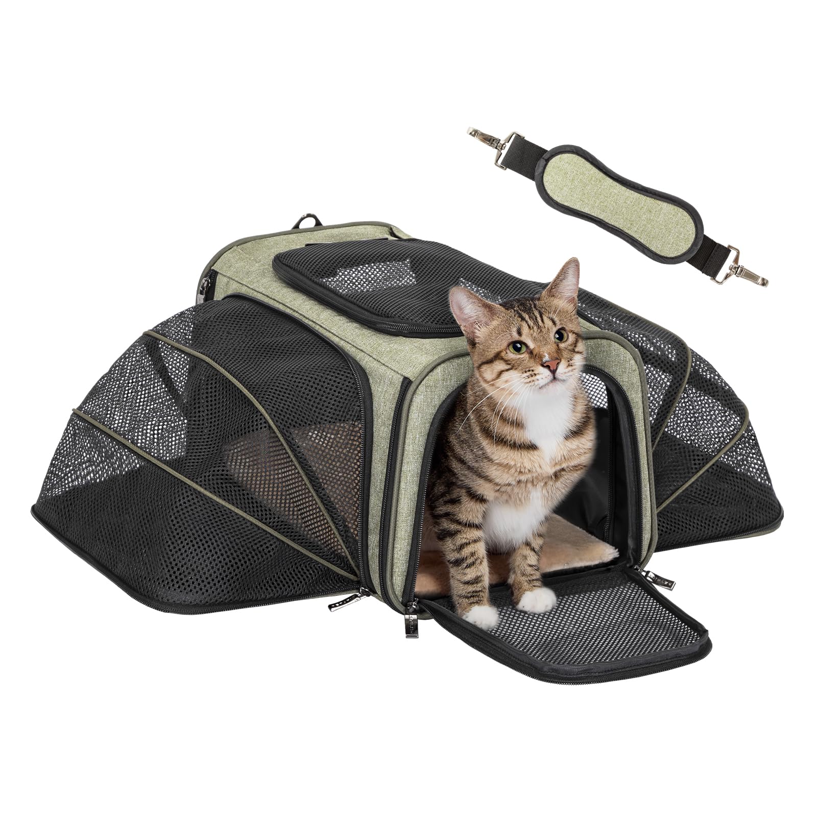 Expandable Airline-Approved Pet Carrier