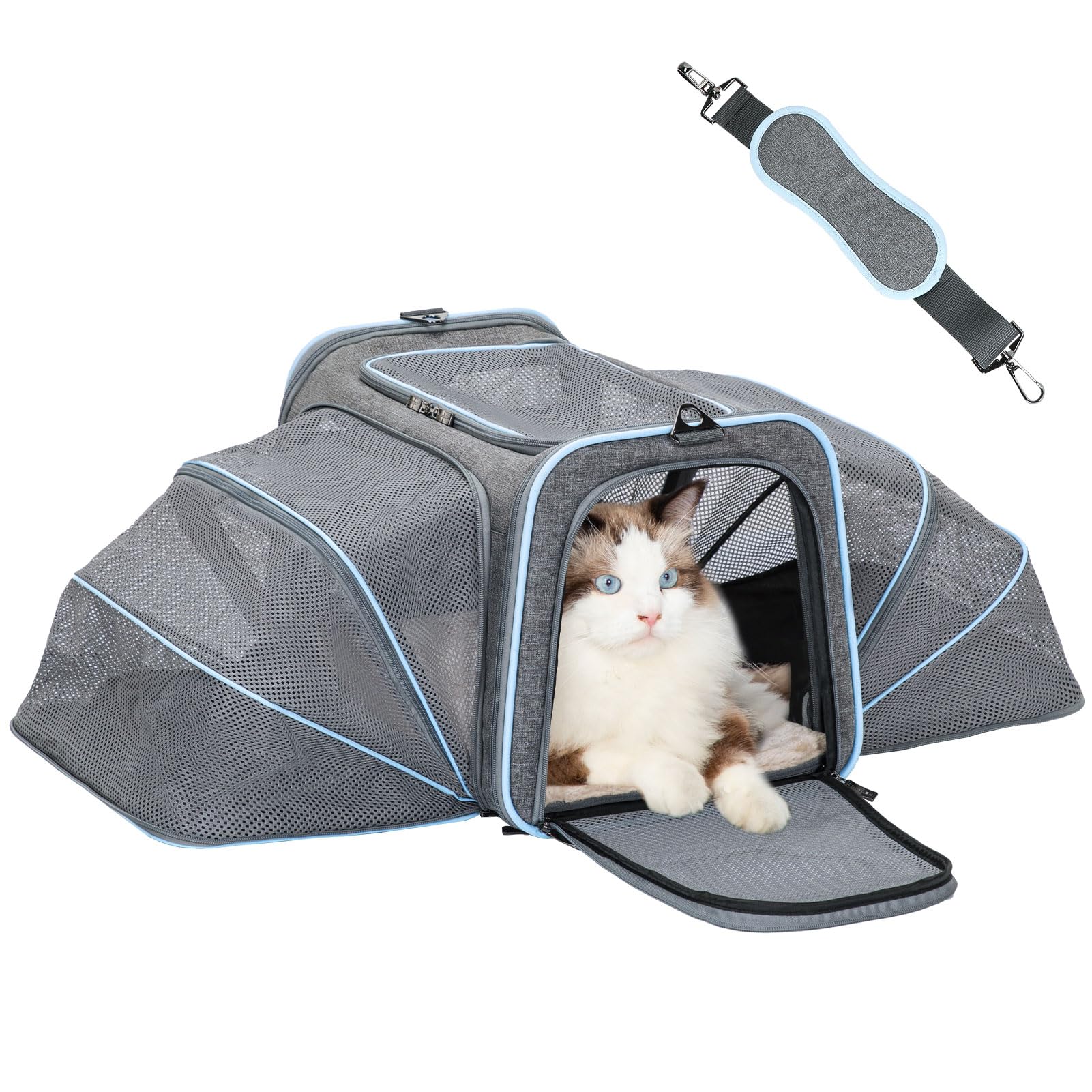 Expandable Airline-Approved Pet Carrier