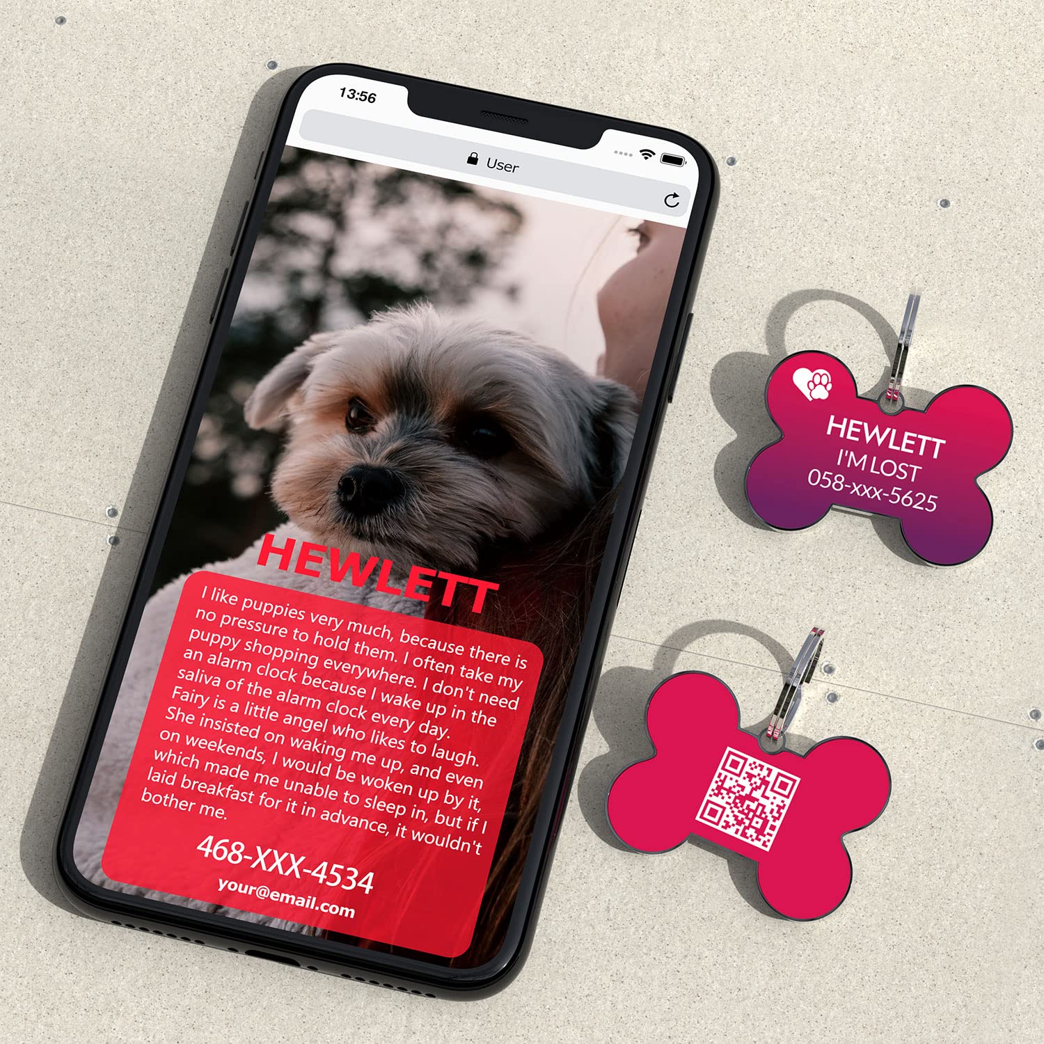 Personalized QR Code Pet ID Tag