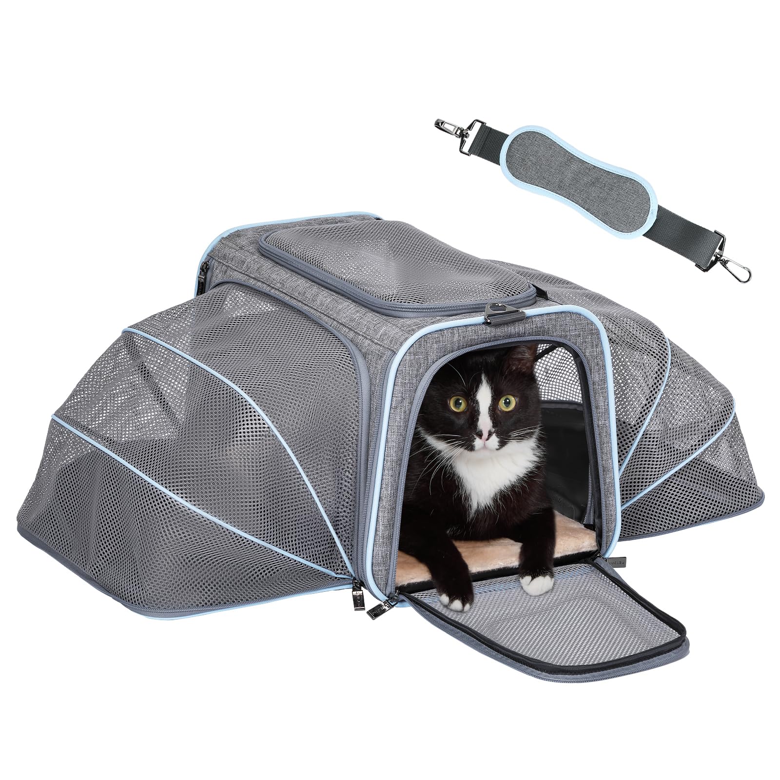 Expandable Airline-Approved Pet Carrier