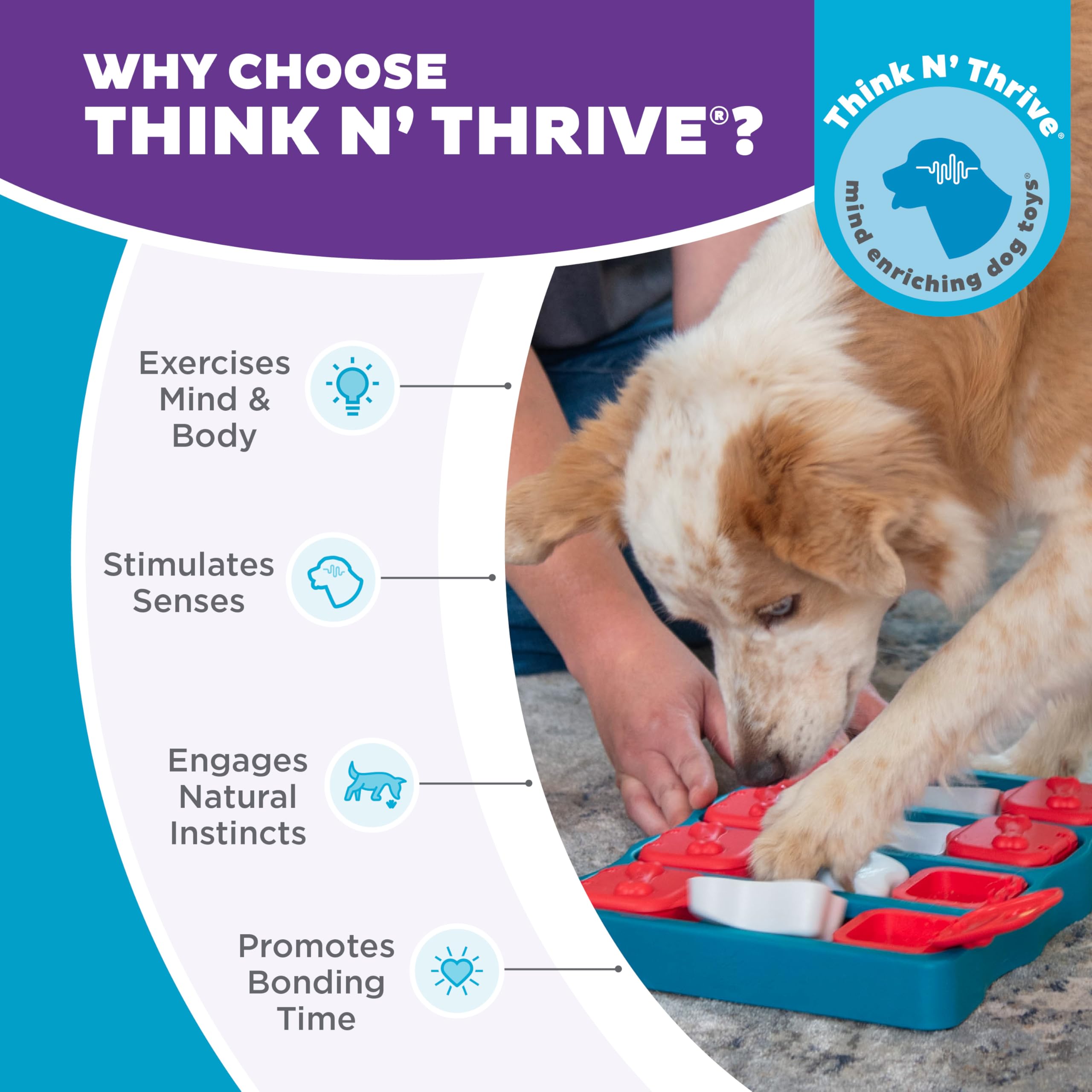 Outward Hound by Nina Ottosson Dog Smart Treat Puzzle Toy