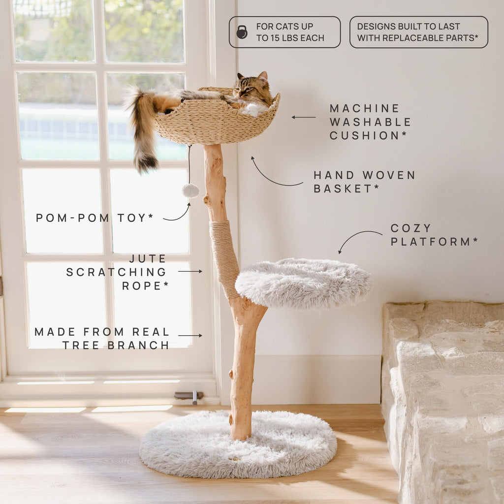 Modern Wooden Cat Tree Tower