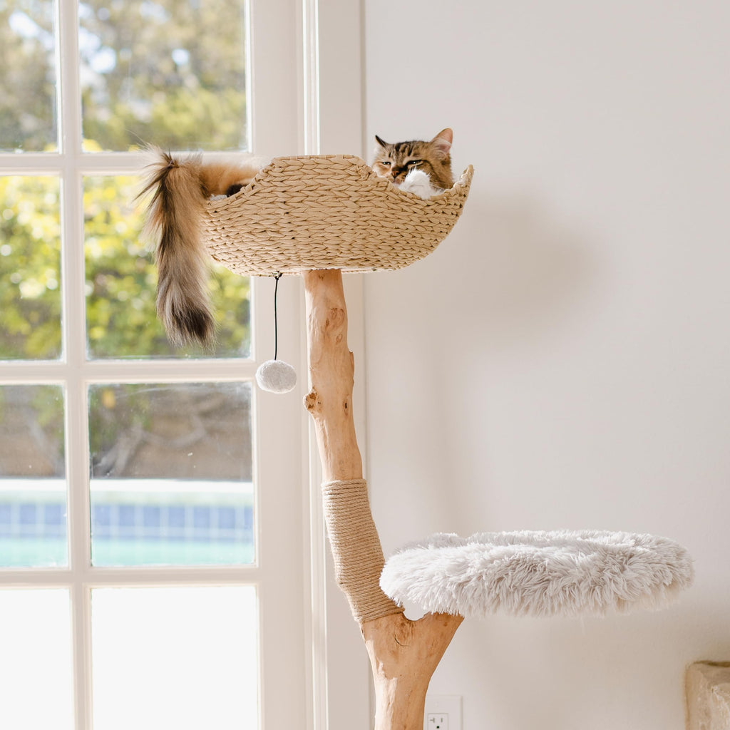 Modern Wooden Cat Tree Tower