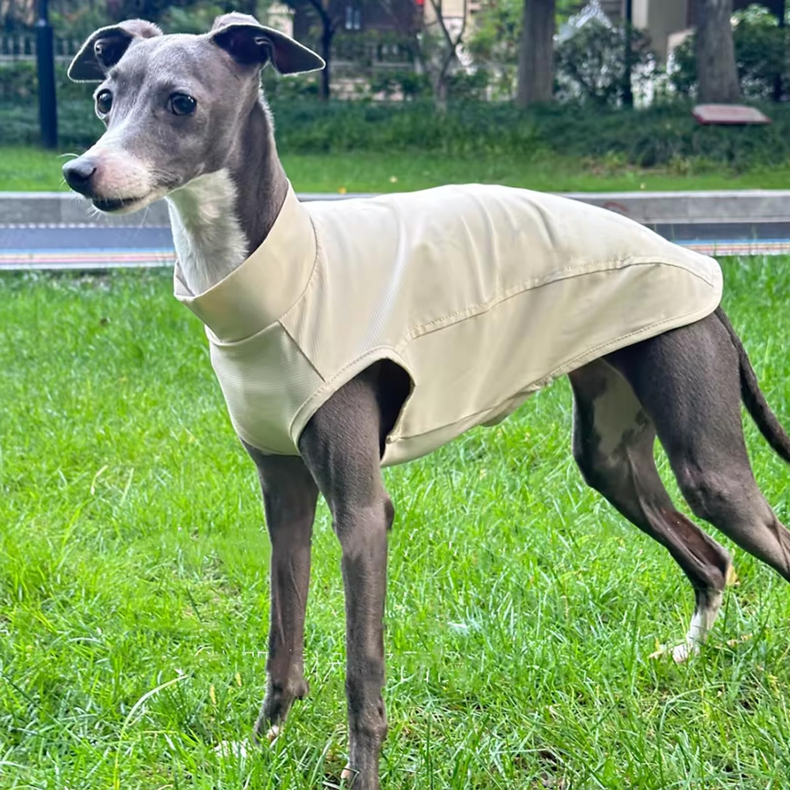 Lightweight Cooling Dog Vest Shirt