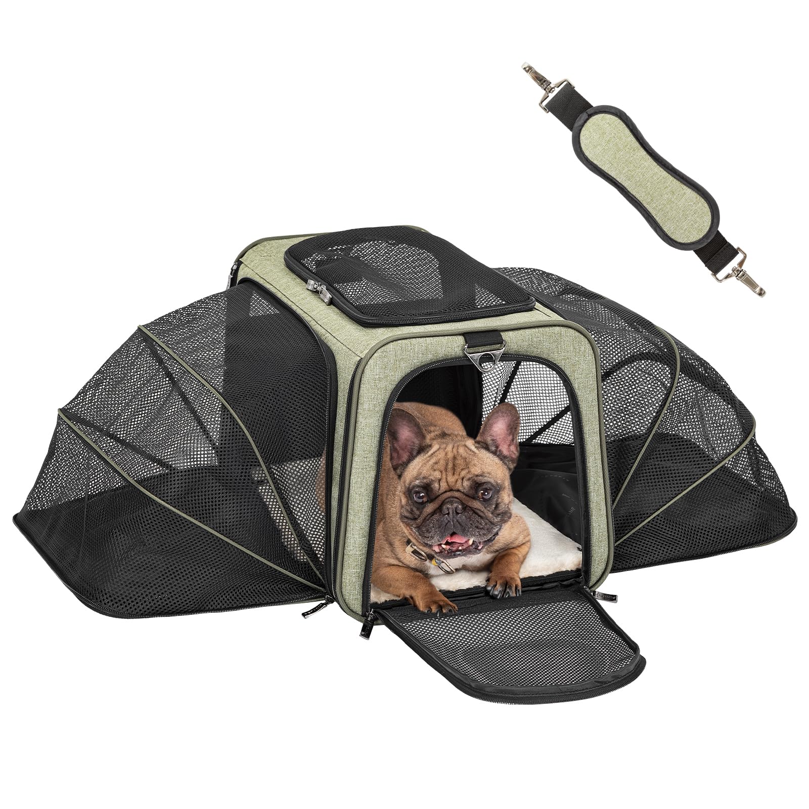 Expandable Airline-Approved Pet Carrier